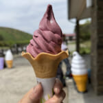 【画像】ミヤマキリシマに彩られた雄大なる九州の山旅！　九州の名だたる山々を睥睨する「大船山」登山 〜 画像1