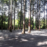 【画像】五感で楽しむ絶景スポット！　静岡の名所「朝霧高原」のおすすめキャンプ場3選【東海エリア】 〜 画像1