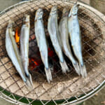 【画像】究極の贅沢は昼飲みに限る!?　ビールのアテで枝豆がハズせない「ベスト鉄板」コラボがヤバいほど的を射てる 〜 画像1
