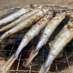【画像】究極の贅沢は昼飲みに限る!?　ビールのアテで枝豆がハズせない「ベスト鉄板」コラボがヤバいほど的を射てる 〜 画像1
