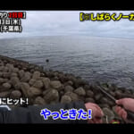 【画像】東京湾での釣果やいかに!?　浦安釣法で高級魚「春サヨリ」を狙う 〜 画像1