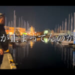 【画像】カサゴが釣れたかと思いきや……　まさかの幻の魚をゲット「ハードルアー縛り」釣行の釣果やいかに!? 〜 画像1
