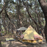 【画像】猛暑の夏を吹き飛ばす背徳飯が激ウマ！　夏キャンプで卵と油たっぷり「スパイシー」な香薫卵どんぶりで満腹 〜 画像1