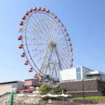 【画像】「SA」と「PA」何が違う？　遊びもグルメも満喫できる「ハイウェイオアシス」の楽しみ方とは 〜 画像1