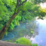 【画像】富士山の湧き水だけでできた川？　美しい景色を満喫できる「日本三大清流」の魅力とは 〜 画像1