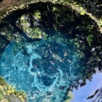 【画像】富士山の湧き水だけでできた川？　美しい景色を満喫できる「日本三大清流」の魅力とは 〜 画像1