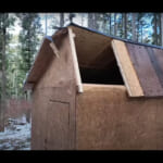 【画像】伐採した木が小屋を直撃するハプニング勃発？　「サバイバル好き女子」のクチャ作りチャレンジに視聴者から労をねぎらうコメントが溢れる 〜 画像1