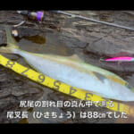 【画像】ヒラマサ釣りの好漁場「対馬」でメーターオーバーゲットなるか!?　念願の巨大ヒラマサ釣行が見応えたっぷり 〜 画像1