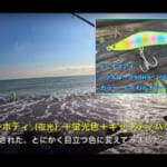 【画像】オオニベをゲットしたのはまさかのサーフ？　全国を旅する釣り師が「釣り人生最高の幸運」と称する衝撃の釣果を目撃 〜 画像1