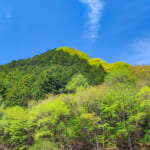 【画像】最短30分でピークハントできる！　登山初心者でも楽しめる「奥多摩エリア」の低山3選 〜 画像1