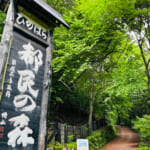 【画像】最短30分でピークハントできる！　登山初心者でも楽しめる「奥多摩エリア」の低山3選 〜 画像1