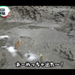 【画像】穴に塩を入れるだけ!?　『釣りよか。』恒例の潮干狩りで高級食材の「マテ貝」を大量ゲット 〜 画像1