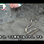 【画像】穴に塩を入れるだけ!?　『釣りよか。』恒例の潮干狩りで高級食材の「マテ貝」を大量ゲット 〜 画像1