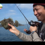 【画像】「ゼロテンション」釣行で高級魚を連続ヒット！　まさかの全員安打に視聴者から「ハマりそう」のコメントが溢れる 〜 画像1