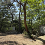 【画像】知る人ぞ知る水場と岩場を探索！　ルートファインディングが楽しいマイナールート「道畔谷北尾根」 〜 画像1