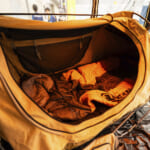 【画像】まさに四駆ユーザーの天国！　入場無料のイベント「群馬パーツショー2025」開催 〜 画像1