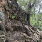 【画像】「蟻の戸渡り」ならぬ「山羊の戸渡り」とは？　ナゾ地名に惹かれて六甲山のマイナールートを行く 〜 画像1
