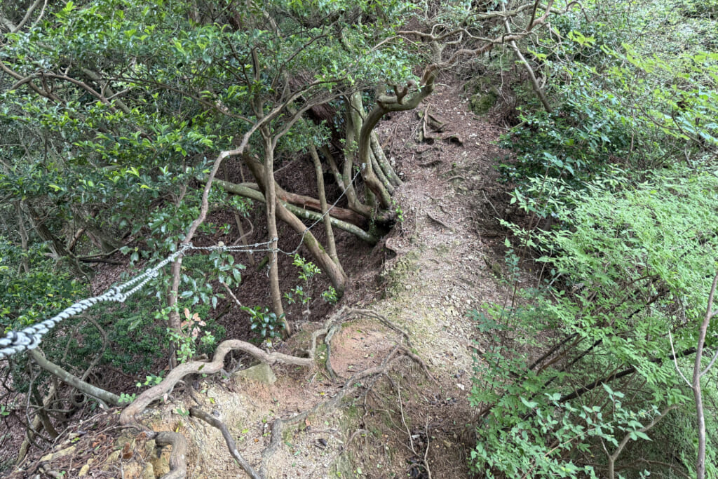 痩せ尾根