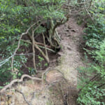 【画像】「蟻の戸渡り」ならぬ「山羊の戸渡り」とは？　ナゾ地名に惹かれて六甲山のマイナールートを行く 〜 画像1