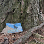 【画像】「蟻の戸渡り」ならぬ「山羊の戸渡り」とは？　ナゾ地名に惹かれて六甲山のマイナールートを行く 〜 画像1