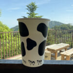 【画像】「蟻の戸渡り」ならぬ「山羊の戸渡り」とは？　ナゾ地名に惹かれて六甲山のマイナールートを行く 〜 画像1