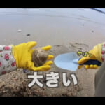 【画像】大潮の浜辺でハマグリをゲット！　アラフィフ女子が宝探し気分で潮干狩りチャレンジ 〜 画像1