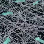 【画像】旅にフィットする究極のサイクルトラベルウェアが登場！「防風防水透湿機能付き」で驚くほど快適 〜 画像1