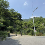 【画像】不思議な地名「ハチノス谷」へ！　「巨大スリット堰堤」と連続する滝を越える冒険気分を満喫できる沢 〜 画像1