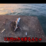 【画像】ダイソーの釣り具縛りでサメは釣れるのか!?　最後は思わぬハプニングに呆然…… 〜 画像1