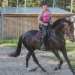 【画像】大自然と乗馬を同時に堪能！　「ホーストレッキング」で最高の旅と大自然を満喫 〜 画像1