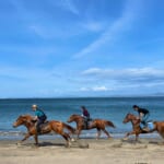 【画像】大自然と乗馬を同時に堪能！　「ホーストレッキング」で最高の旅と大自然を満喫 〜 画像1