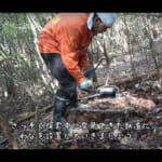 【画像】念願の復活！　帰ってきたカメ五郎さんのブランクを感じさせない見事なわな猟日誌 〜 画像1