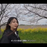 【画像】キャンピングカー仕様にDIYしたハイエースで春の冒険へ！　「アラサー主婦」のひとり車中泊旅にワクワクが止まらない 〜 画像1