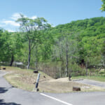 【画像】夏でも涼しい！　秋田のブナ林キャンプで非日常を体験するおすすめ3選【東北エリア】 〜 画像1