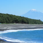 【画像】富士山、砂浜、クロマツ100万本！　海と松のコントラストが絶景の「日本三大松原」の見所とは 〜 画像1