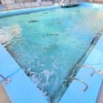 【画像】魚が泳ぐプール？　廃校に新たな息吹を吹き込む全国各地のレジャースポットでアクティビティ体験 〜 画像1