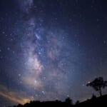 【画像】ロープウェイでの星空遊覧にムササビ目撃ツアーも！　夜だからこそ楽しめる「ナイトツアー」の魅力とは 〜 画像1