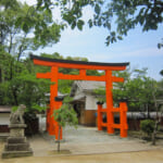 【画像】貝殻を拾いながら砂浜をゆったり「日本小貝3名所」って一体何？　波の音を聞きながら宝物を見つけよう 〜 画像1