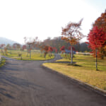 【画像】夏でも涼しい！　秋田のブナ林キャンプで非日常を体験するおすすめ3選【東北エリア】 〜 画像1