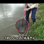 【画像】どぶ川で獲った「ある食材」をその場で実食？　佐賀よか。メンバーが挑んだ野性味全開の挑戦の結末とは…… 〜 画像1