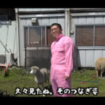 【画像】思ったより怖かった……　素人同然の２人のオトコが本気で「羊の毛刈り初体験」をしてみた 〜 画像1