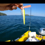 【画像】初夏の海で高級魚のマゴチを狙う！　車中泊での連続釣行の釣果はいかに 〜 画像1