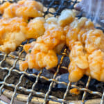 【画像】実はアウトドアでのメリットが沢山！　炭火焼が美味しくなる七輪のキャンプ飯が旨すぎる 〜 画像1
