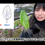 【画像】持ってきた食料は塩だけってマジかっ？　女子ソロキャンで春の「サバイバルキャンプ」に挑戦 〜 画像1