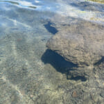 【画像】富士山と綺麗な湖水！　本栖湖キャンプ場で涼しいキャンプとSUPを満喫 〜 画像1
