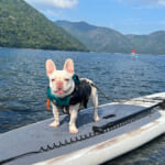 【画像】富士山と綺麗な湖水！　本栖湖キャンプ場で涼しいキャンプとSUPを満喫 〜 画像1