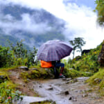 【画像】傘の活用で登山の快適度がアップ!?　基本的には使わないけど…持っていくべきメリットとは 〜 画像1