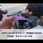 【画像】イカが湧き出るスポットを発見!?　思わず童心に返ってしまう1泊2日の釣り合宿の成果はいかに 〜 画像1