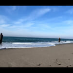 【画像】ヒラメを釣りたい！　釣り好き男性4人の「週末サーフ釣り」動画に注目、驚きの魚たちをゲット 〜 画像1