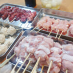 【画像】ジョッキ片手に味わう贅沢なひと時「キャンプ」で楽しむ極上の「焼き鳥」テクニックとは 〜 画像1